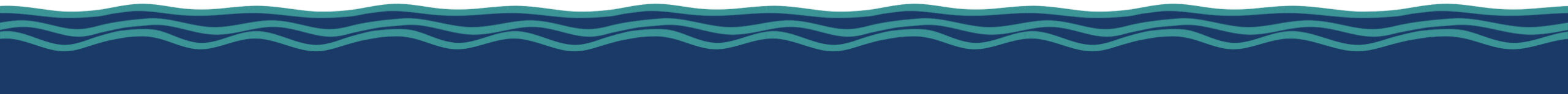 footer wave